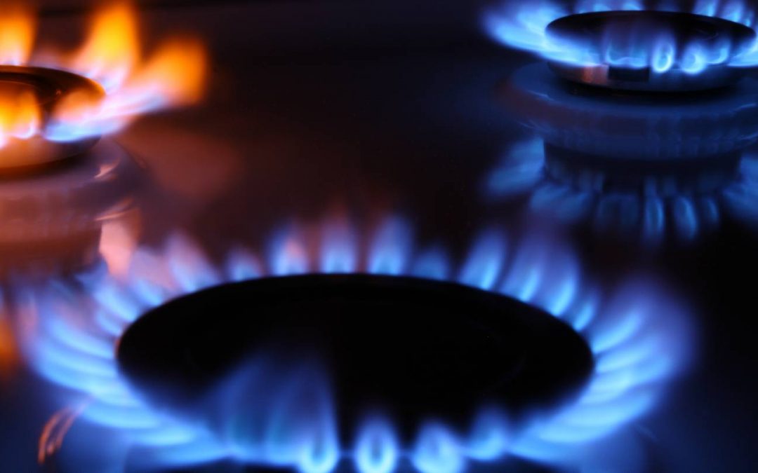 Formation Diagnostic Gaz